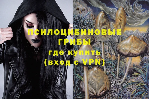 круглые Абаза