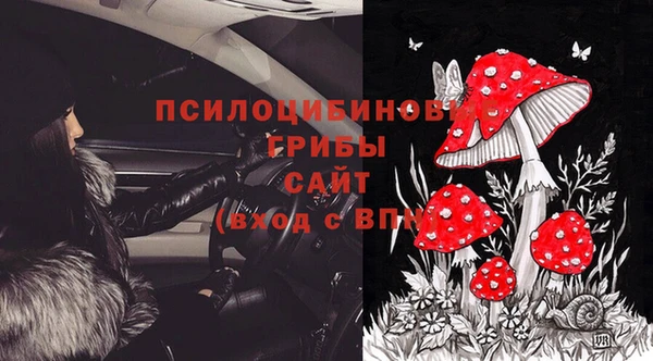 стаф Карталы