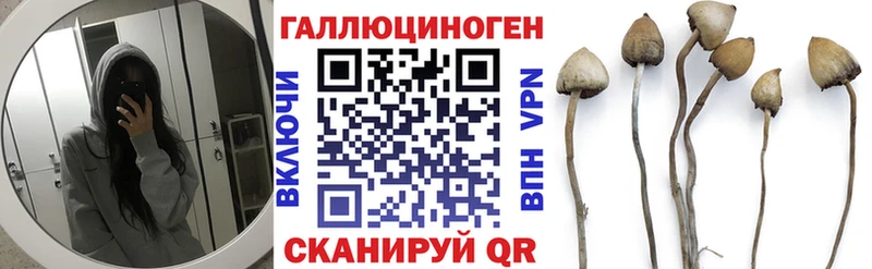Галлюциногенные грибы Psilocybe  где купить наркотик  Ялта 