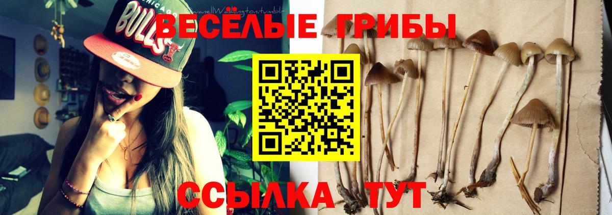 Ялта  Псилоцибиновые грибы мицелий  Вход с VPN 